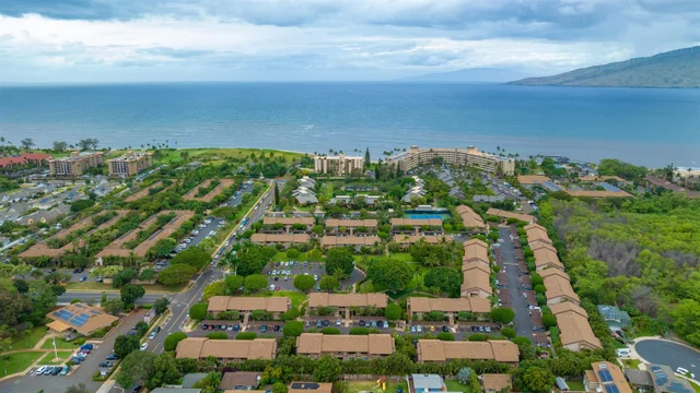 Listing Image for 15 Kulanihakoi St 19h 33 of 49