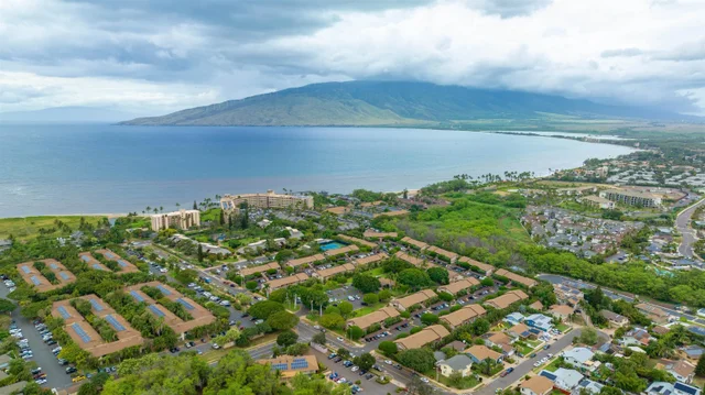 Listing Image for 15 Kulanihakoi St 19h 35 of 49