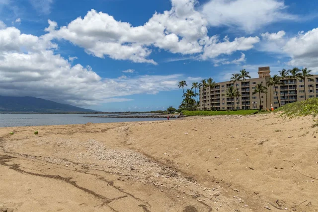 Listing Image for 15 Kulanihakoi St 19h 39 of 49