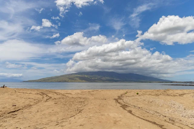 Listing Image for 15 Kulanihakoi St 19h 40 of 49