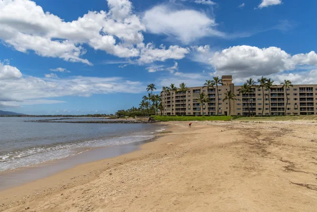 Listing Image for 15 Kulanihakoi St 19h 41 of 49