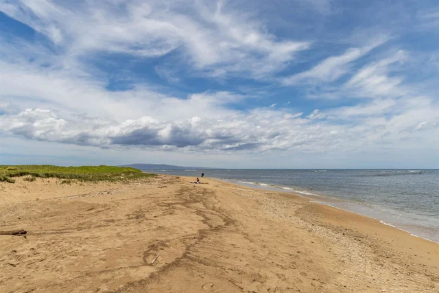 Listing Image for 15 Kulanihakoi St 19h 42 of 49