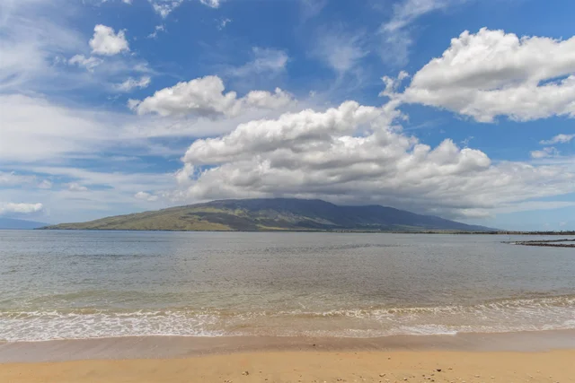 Listing Image for 15 Kulanihakoi St 19h 43 of 49