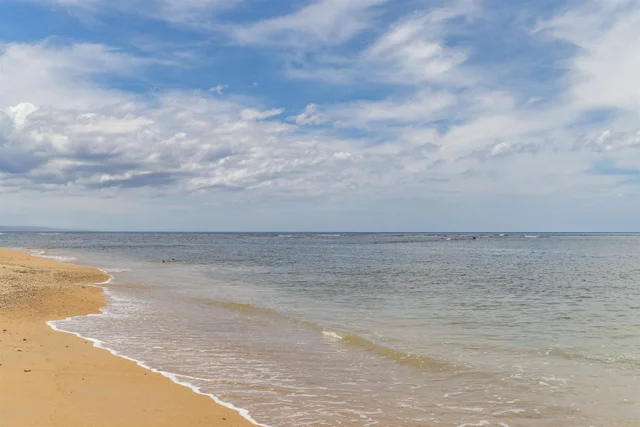 Listing Image for 15 Kulanihakoi St 19h 44 of 49