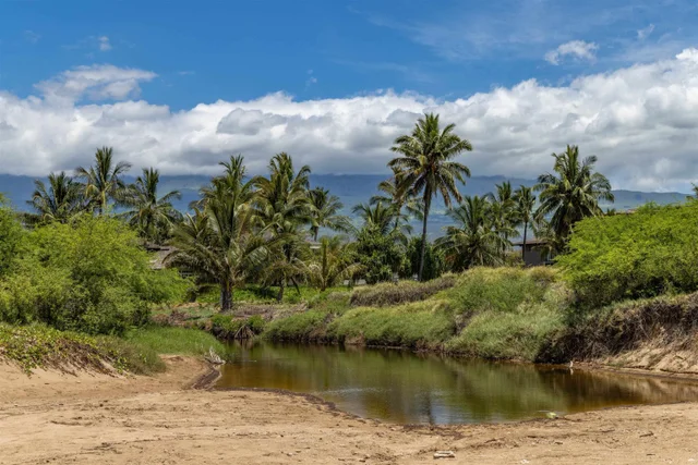 Listing Image for 15 Kulanihakoi St 19h 45 of 49