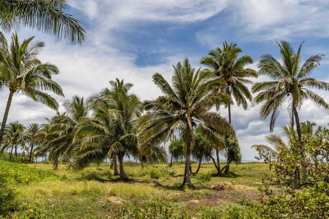 Listing Image for 15 Kulanihakoi St 19h 46 of 49