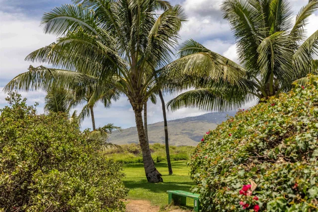 Listing Image for 15 Kulanihakoi St 19h 49 of 49