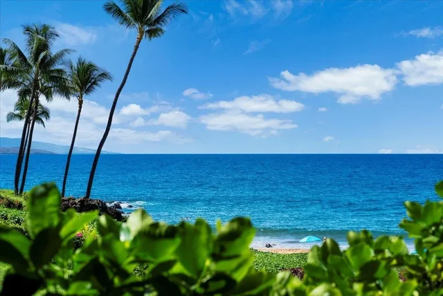 Listing Image for 4850 Makena Alanui Rd A103 46 of 50