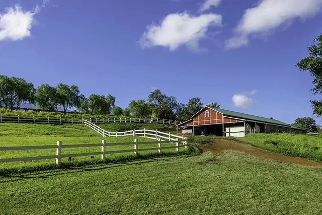 Listing Image for 3651 Omaopio Rd 1 of 18