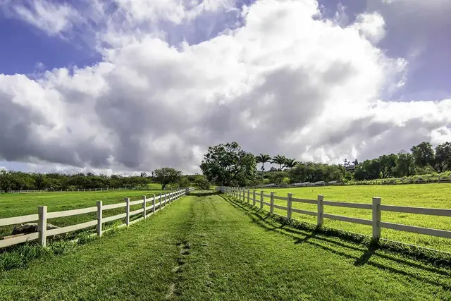 Listing Image for 3651 Omaopio Rd 17 of 18