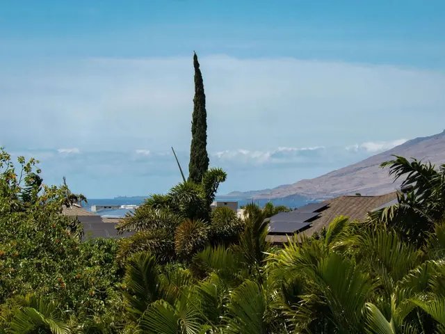 Listing Image for 151 Walua Pl 19 of 43