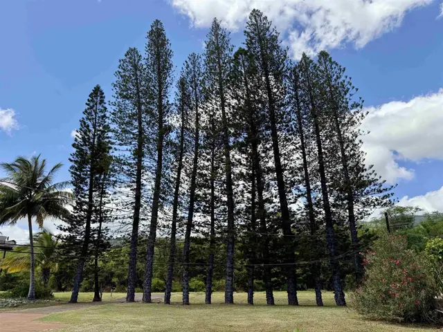Listing Image for 2655 Kamehameha V Hwy 9 of 31