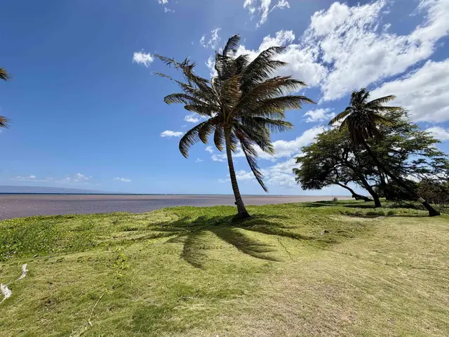 Listing Image for 2655 Kamehameha V Hwy 5 of 31