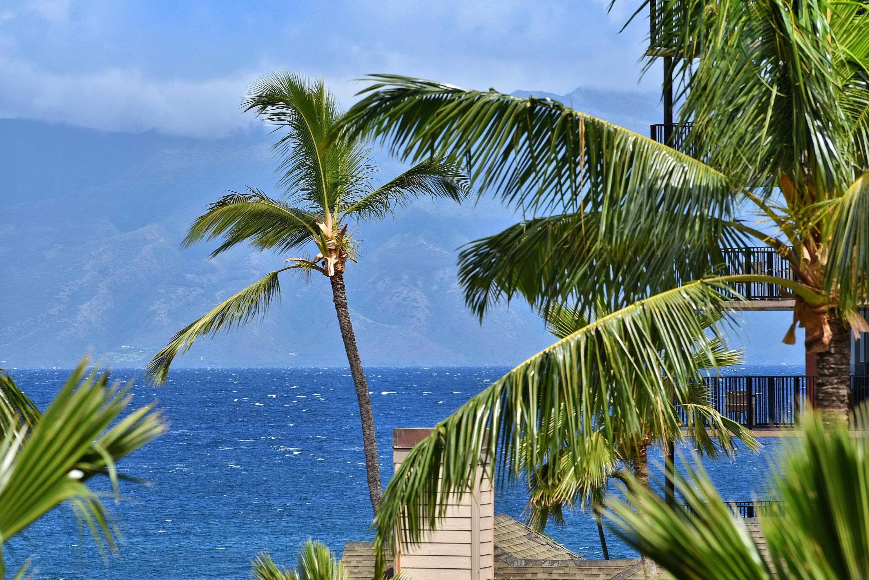 Photo of Listing #409217