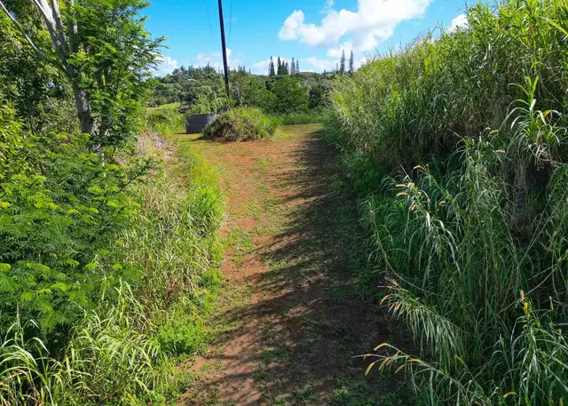 Listing Image for 3980 Hana Hwy 17 of 26