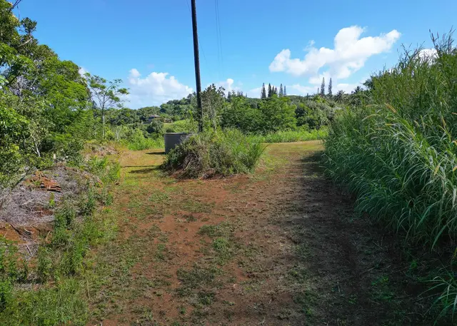 Listing Image for 3980 Hana Hwy 18 of 26