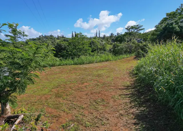 Listing Image for 3980 Hana Hwy 19 of 26