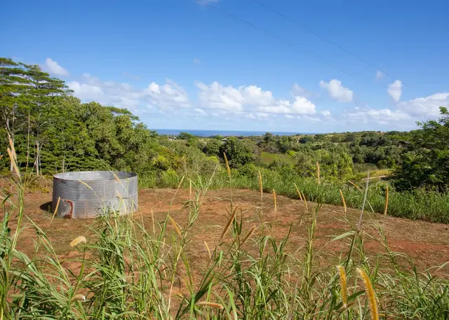 Listing Image for 3980 Hana Hwy 20 of 26