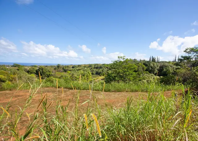 Listing Image for 3980 Hana Hwy 21 of 26