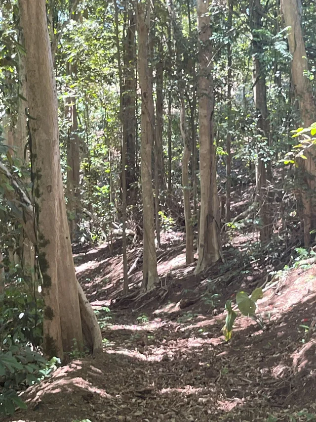 Listing Image for 2762 Hana Hwy Cpr B 12 of 22