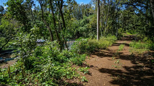 Listing Image for 2762 Hana Hwy Cpr B 18 of 22