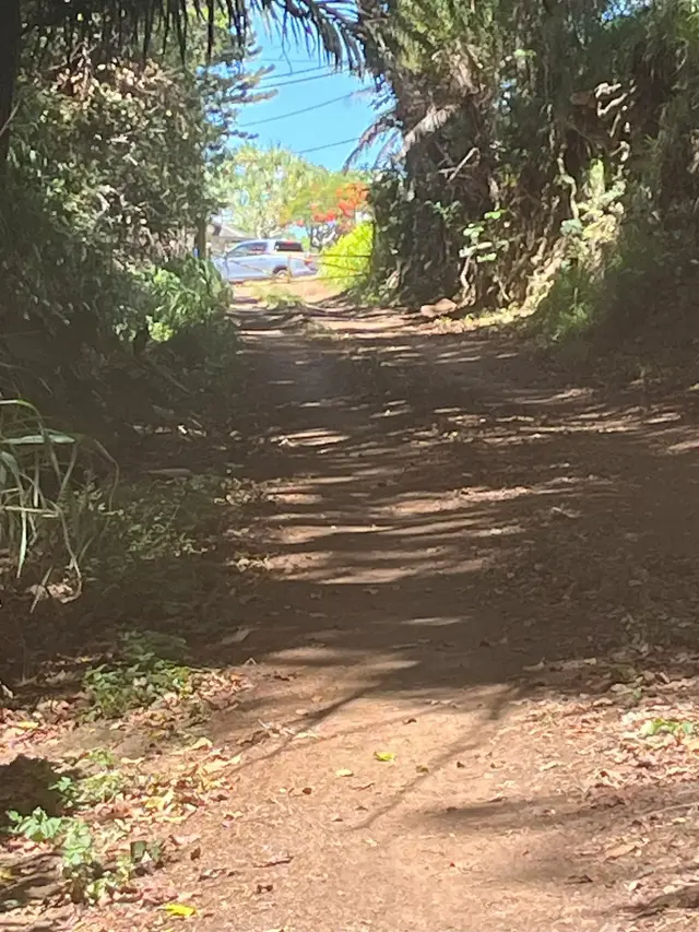 Listing Image for 2762 Hana Hwy Cpr B 24 of 26