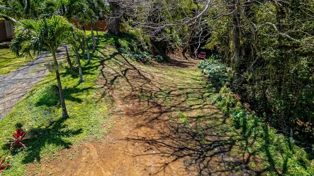 Listing Image for 2762 Hana Hwy Cpr B 9 of 22