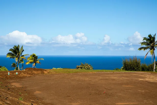 Listing Image for 17 Kai Huki St 15 of 17