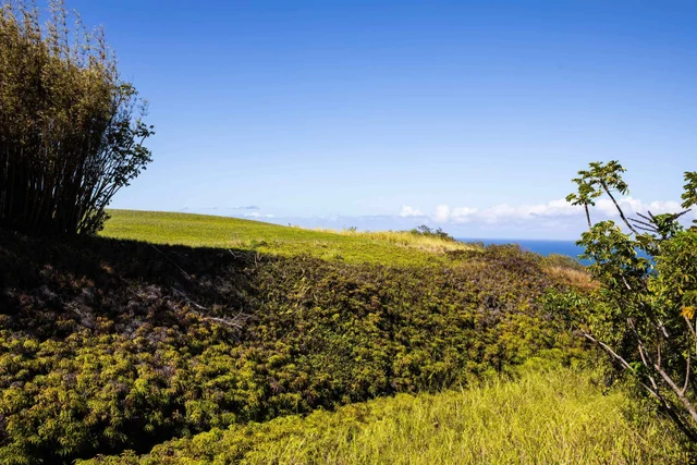 Listing Image for 17 Kai Huki St 4 of 17