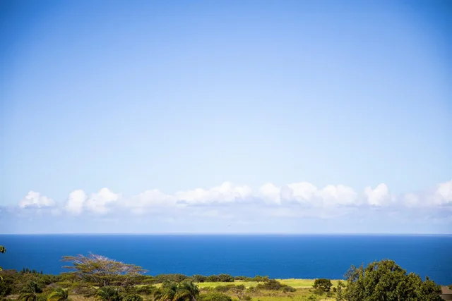 Listing Image for 17 Kai Huki St 6 of 17