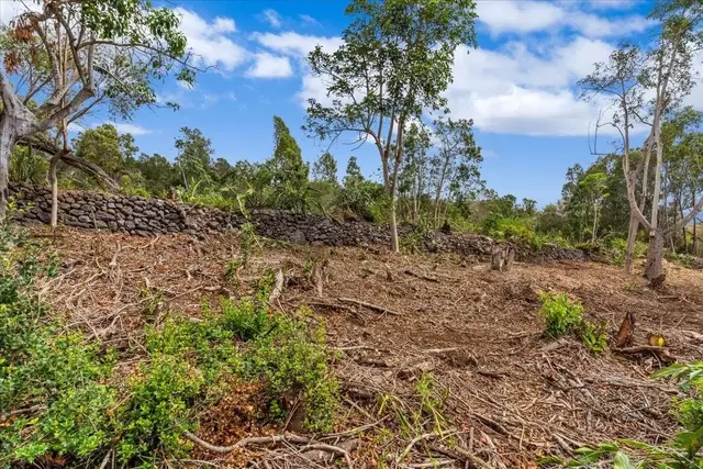 Listing Image for 0 Haleakala Hwy 11 of 37