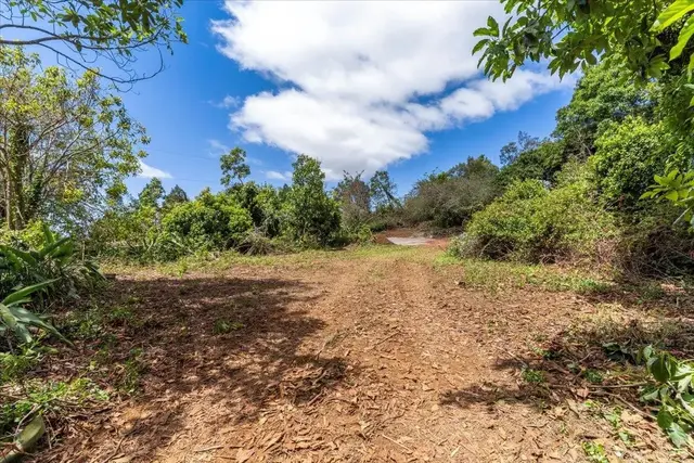 Listing Image for 0 Haleakala Hwy 15 of 37