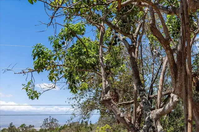Listing Image for 0 Haleakala Hwy 19 of 37