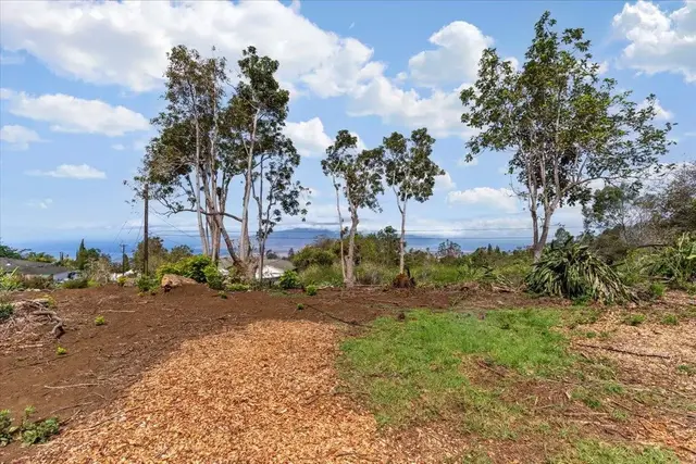 Listing Image for 0 Haleakala Hwy 36 of 37