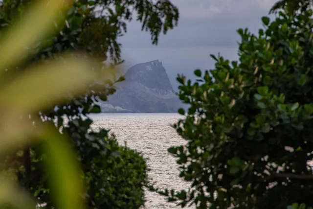 Listing Image for 43 Nonohe Pl 38 of 50