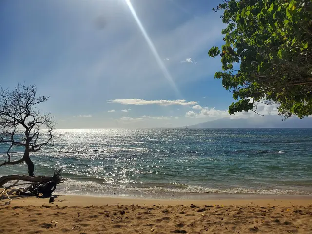 Listing Image for 3660 Lower Honoapiilani Rd 103 15 of 19