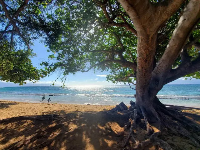 Listing Image for 3660 Lower Honoapiilani Rd 103 16 of 19