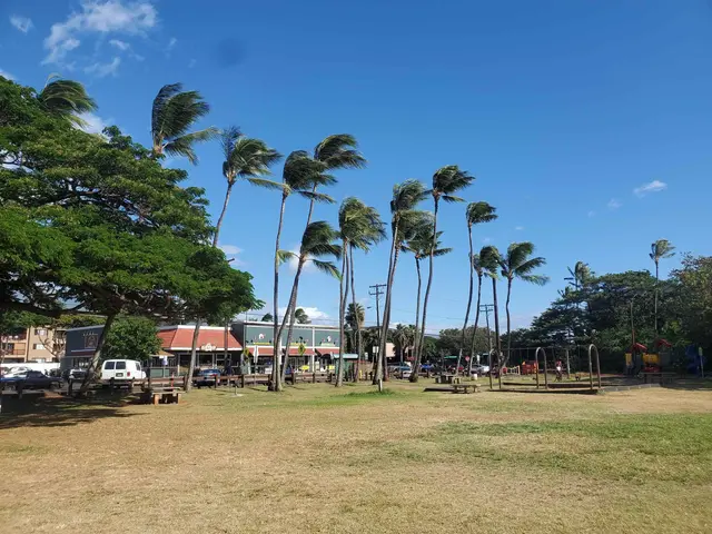 Listing Image for 3660 Lower Honoapiilani Rd 103 17 of 19