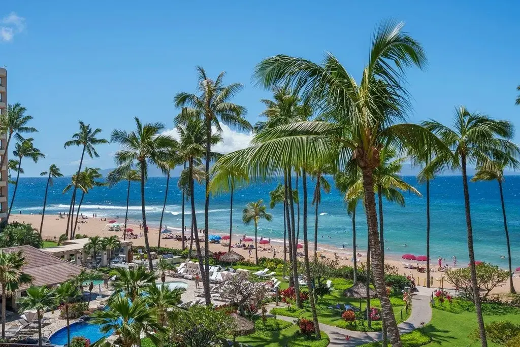 50 Nohea Kai Dr 1-502, Kaanapali
