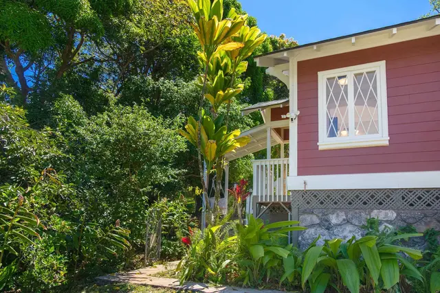 Listing Image for 2595 Ala Olu Pl A 29 of 42