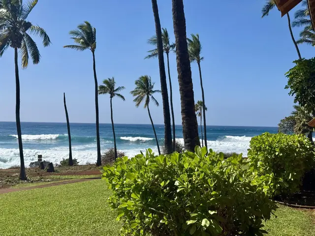 Listing Image for 255 Kepuhi Pl 4a03/1243 3 of 39