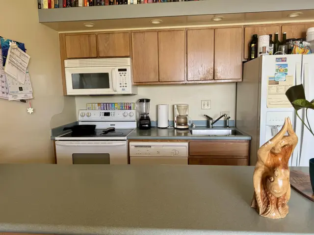 Listing Image for 255 Kepuhi Pl 4a03/1243 9 of 39