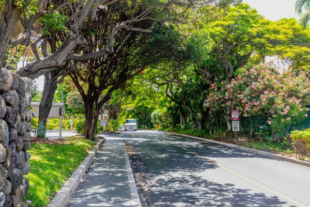 Listing Image for 2531 S Kihei Rd D205 30 of 35