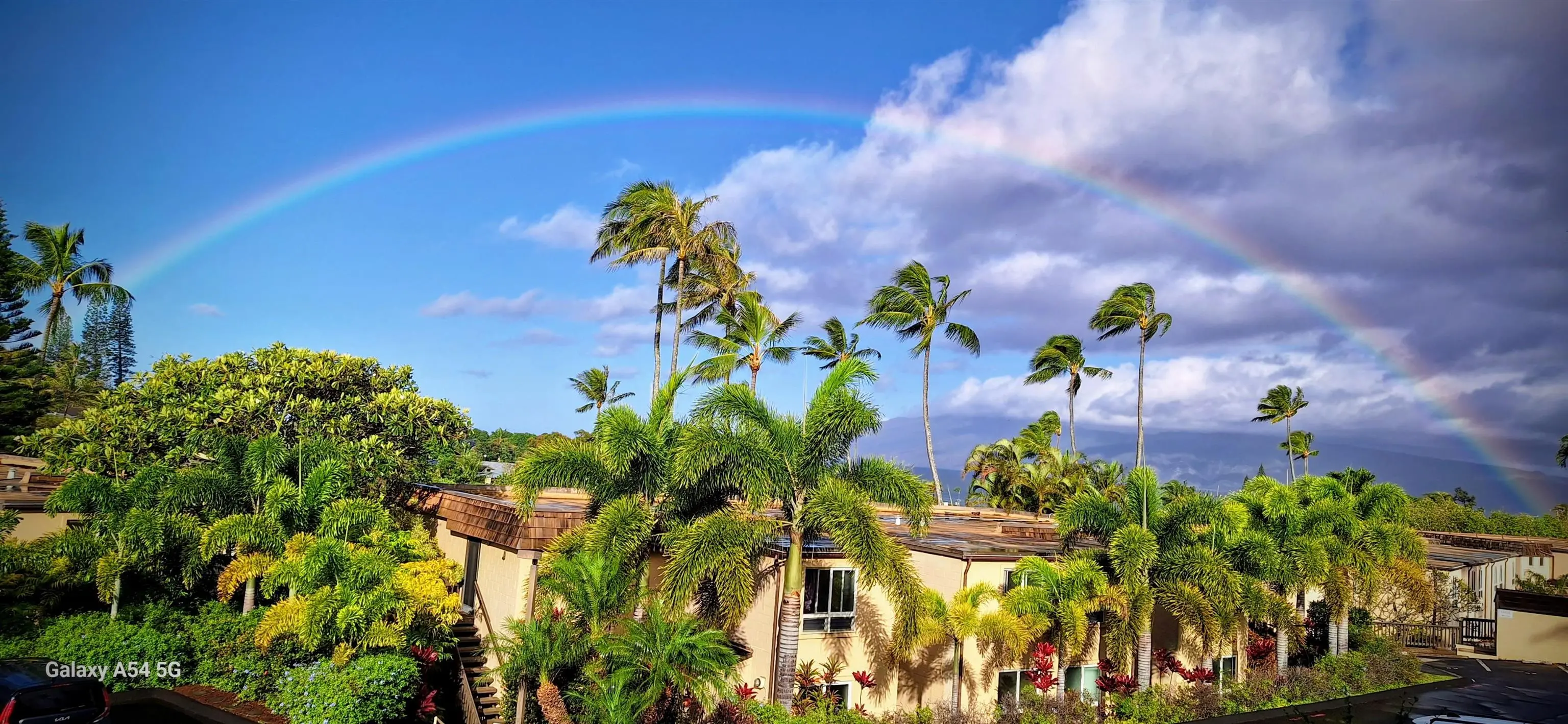 Photo of Listing #408909