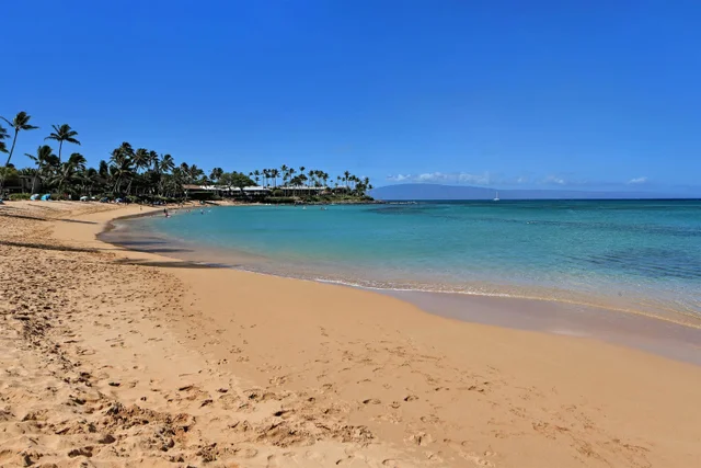 Listing Image for 120 Hui Rd F K 11 22 of 47