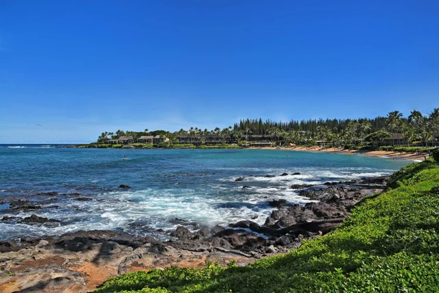 Listing Image for 120 Hui Rd F K 11 23 of 47