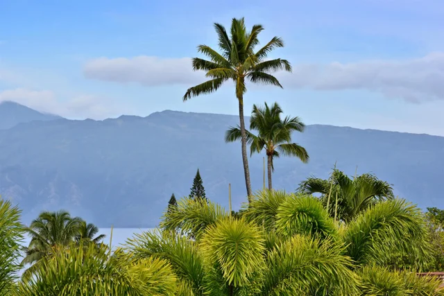 Listing Image for 120 Hui Rd F K 11 38 of 47