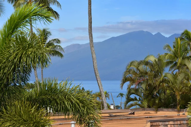 Listing Image for 120 Hui Rd F K 11 43 of 47