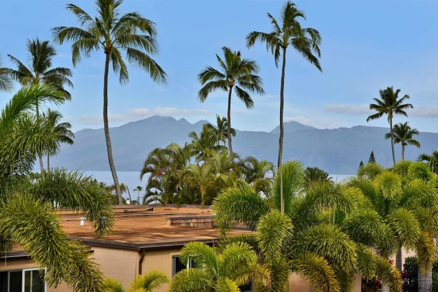 Listing Image for 120 Hui Rd F K 11 46 of 47