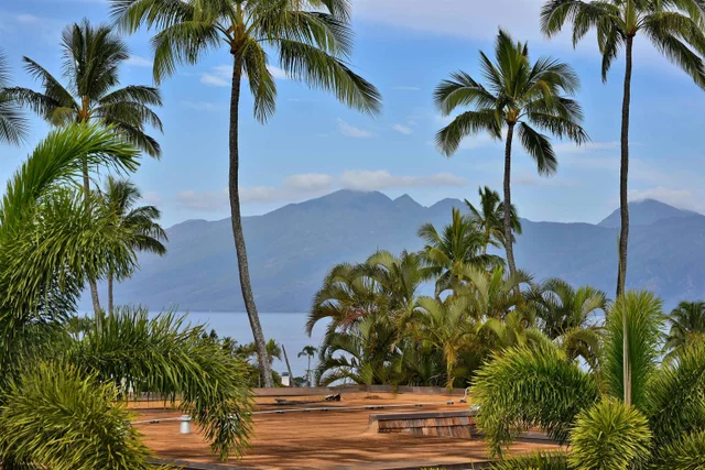 Listing Image for 120 Hui Rd F K 11 47 of 47